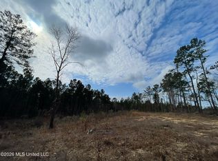 371 Low Water Ln SW, Brookhaven, MS 39601