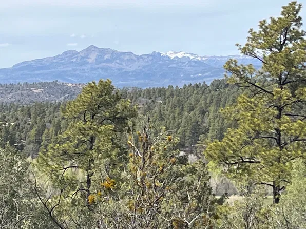 0 Pd 1788 Rd, Chama, NM 87520