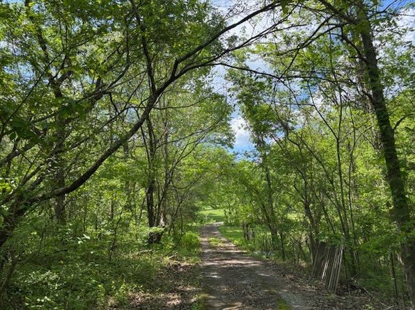 2517 Patton Hollow Rd, Watertown, TN 37184