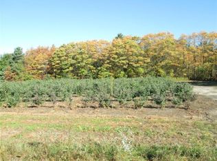 Barry St, Holland, MI 49424
