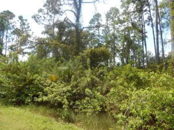 1207 DAYTON Avenue, Lehigh Acres, FL 33972