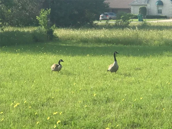 LOT 8 Islet Dr, Bridgeport, TX 76426