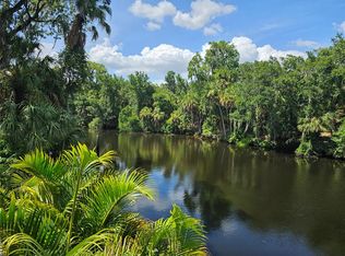 7248 Alafia Ridge Loop, Riverview, FL 33569