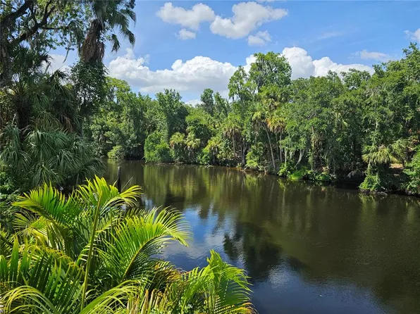 7248 Alafia Ridge Loop, Riverview, FL 33569