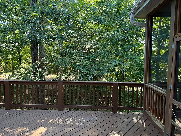 273 Brown Bear — Photo 15