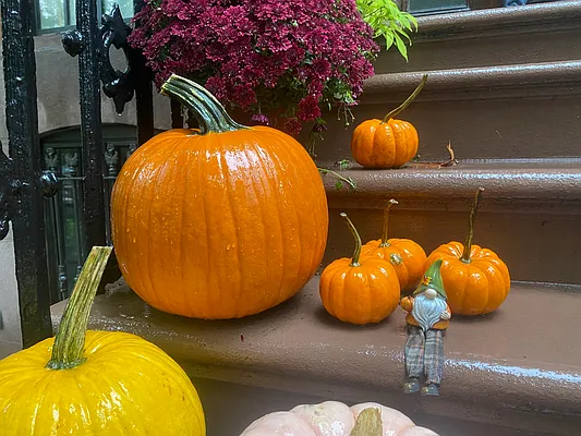 Rented by Compass | media 10