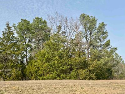 Fm 2612, Hughes Springs, TX, 75656