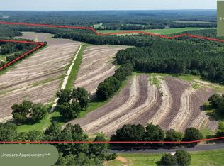 216 County Road 201, Brundidge, AL 36010