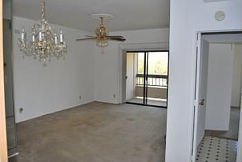 5th image of 2213 S Braeswood Blvd APT 13G
