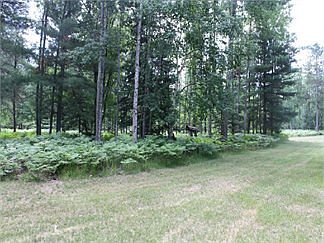 2nd image of 5520 E West Branch Rd
