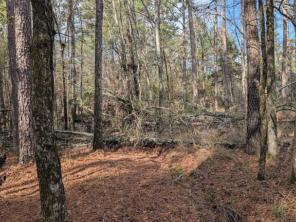 5th image of 3015 Timber Woods Dr Lot 8