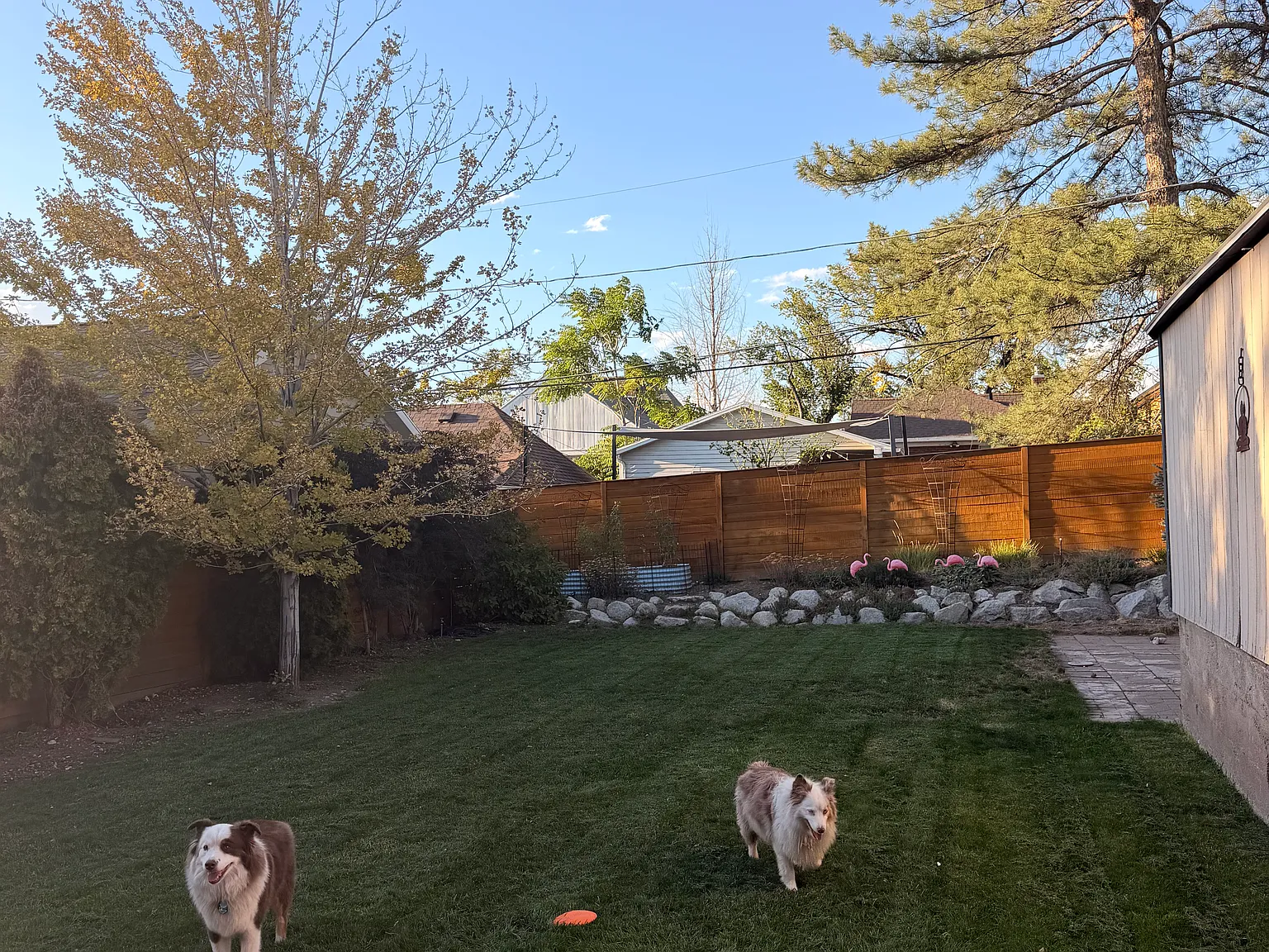 2 bed, 2155 sqft, $3,750 — Photo 3