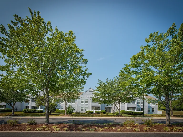 New Forest Apartments — Photo 17