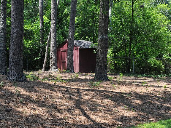 Storage shed in backyard