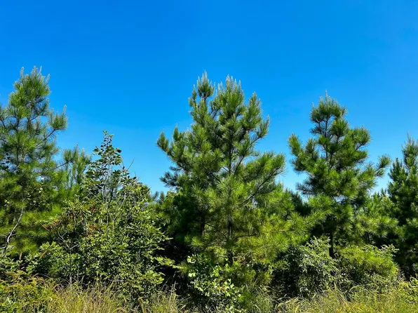 0 Carters Ferry Rd E, Milam, TX 75959