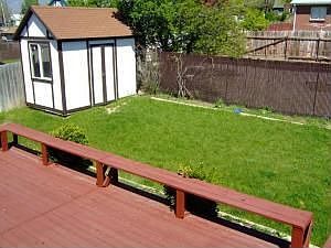 Back yard