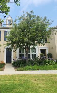 5360 Basie St, Ventura, CA, 93003