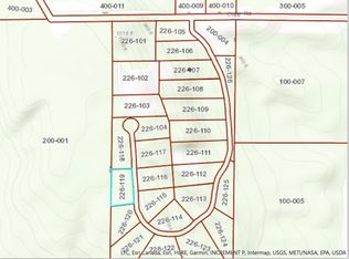 5311 Burt Lake Views Dr, Alanson, MI 49706