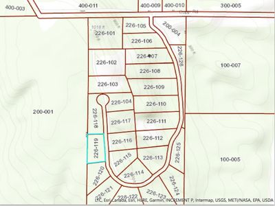 5311 Burt Lake Views Dr, Alanson, MI, 49706