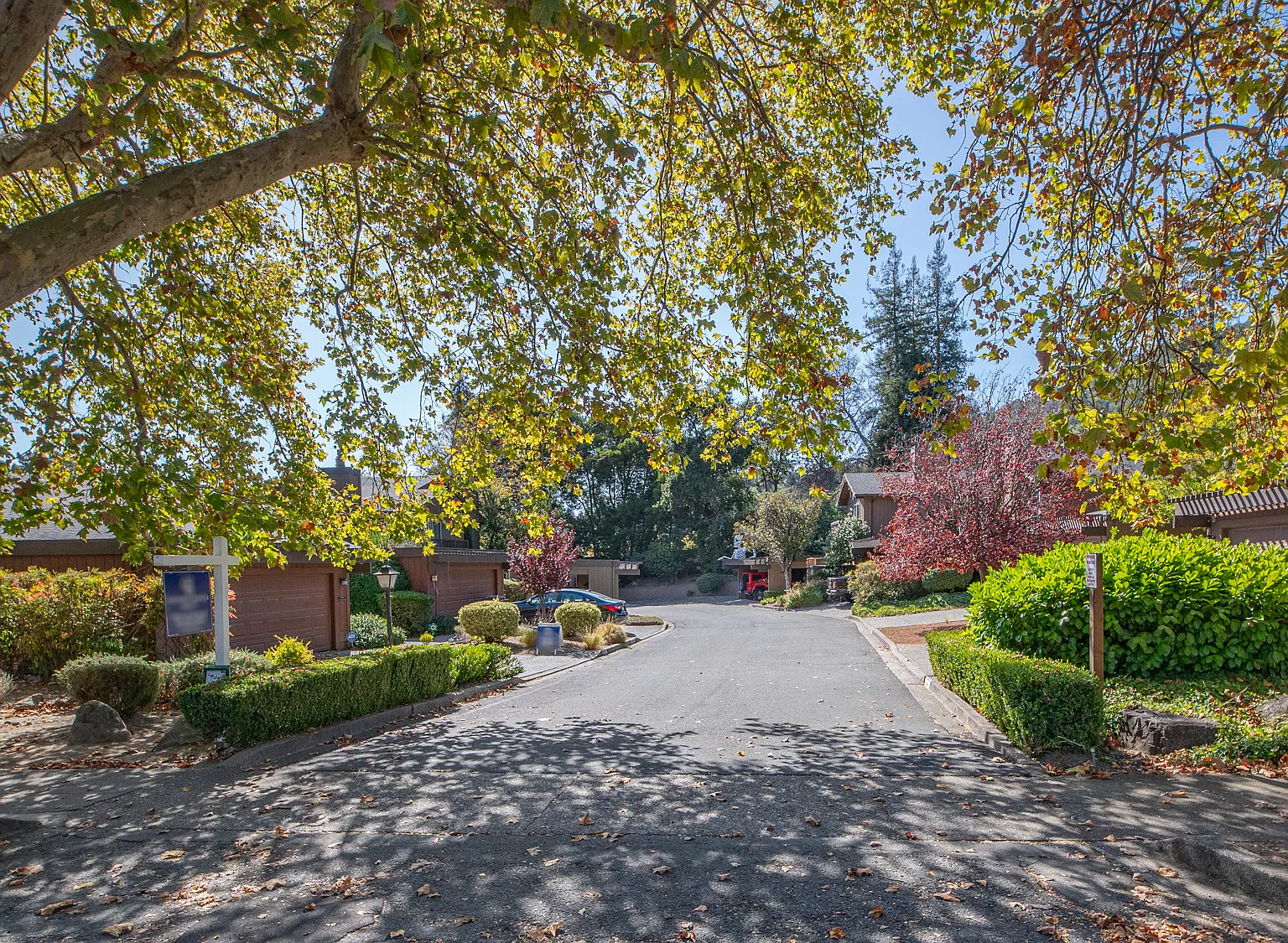 2 bed, 1.5 bath, 1182 sqft, $4,500 — Photo 1
