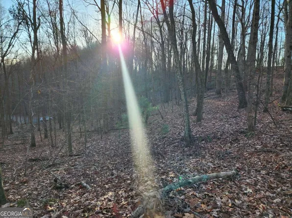 LOT 390 Walhalla Ct, Ellijay, GA 30540