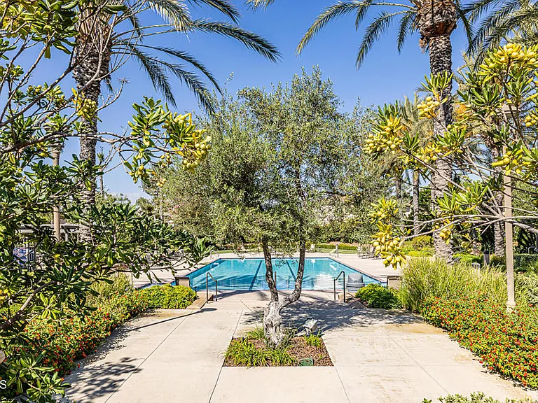 East Cove lap pool photo taken from entrance to pool