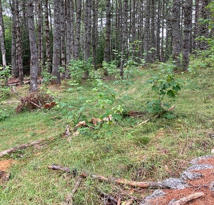 2nd image of Labelle Rd Lot 40C