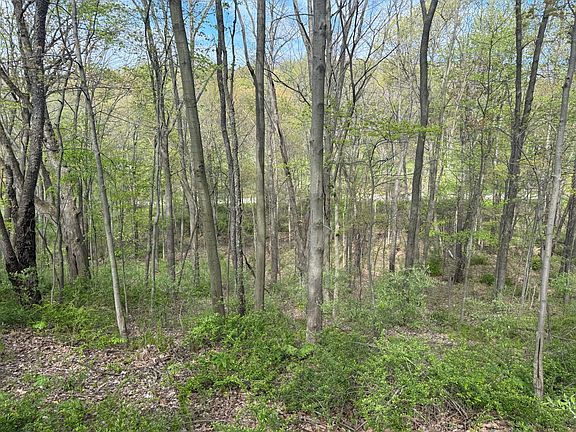 4th image of 2175 Valley Gate Rd