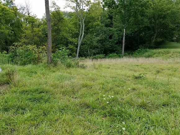 2nd image of 10916 Highridge Rd