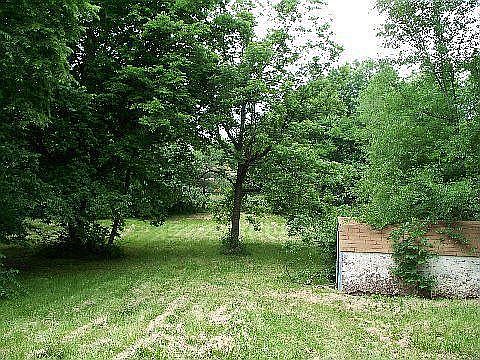 Rear yard with large SHED.