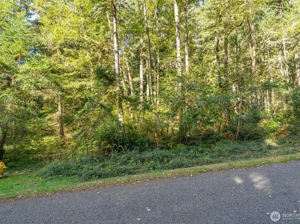 10602 Vantage Drive, Anderson Island, WA 98303