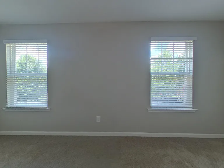 423 Lanyard Ln — Photo 6