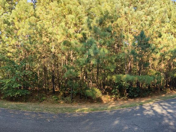 4th image of 33564 Broeders Dr