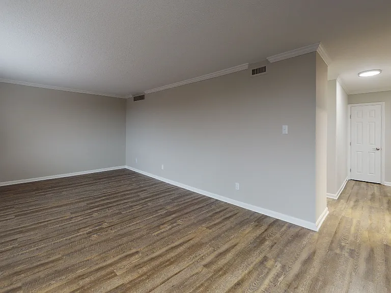 Wood-plank style flooring throughout