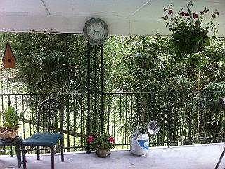 W Dog Ridge carport area