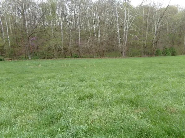 Rapp Hollow Rd, Lucasville, OH 45648