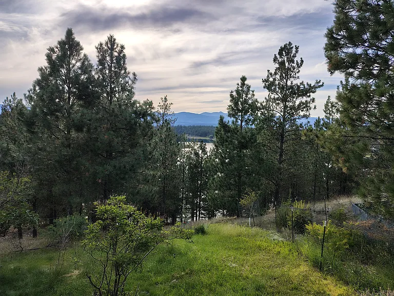 258 Garrison Dr — Photo 4