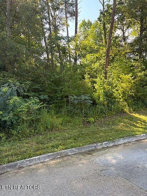 2nd image of 7665 Pennyroyal Dr