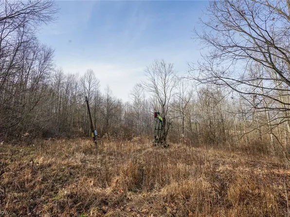 LOT 6 Wilbur Bush Rd NW, Crooksville, OH 43731