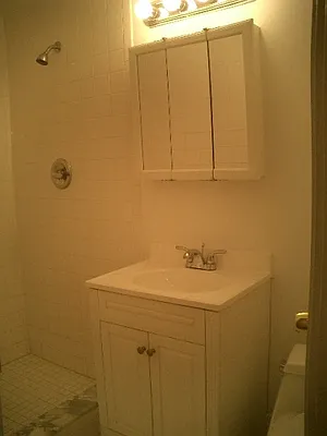 Rented by Citi Habitats | media 20