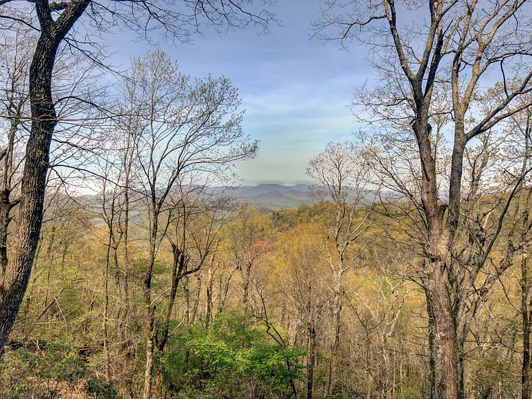 100 Pleasant Mountain Dr — Photo 35