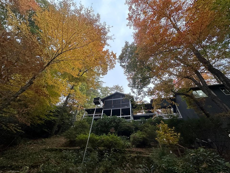 Looking up at the property from the stream in the back in the fall 2023.