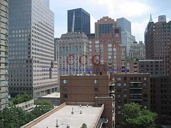 City Views