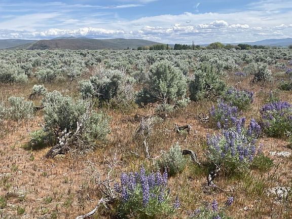 5th image of 5 A Lester Road