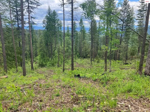 Nna Gold Cup Mt, Priest River, ID 83856