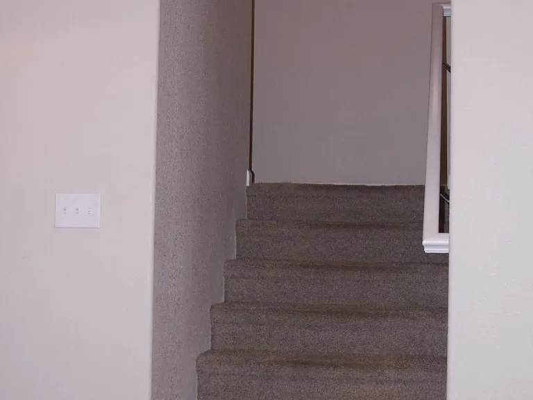Stairs up to main level