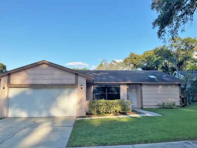 44 Harbor Oaks Cir, Safety Harbor, FL, 34695