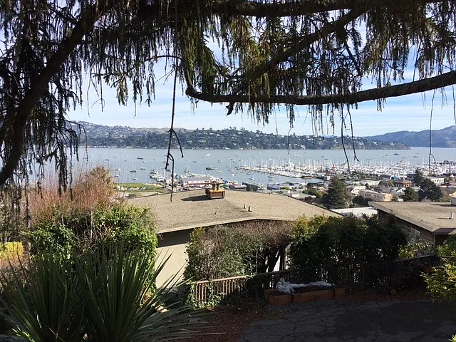 Cazneau Ave — Photo 17