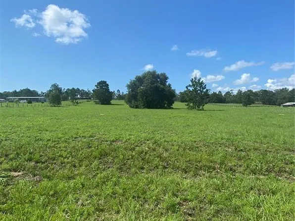 SE 68th Ln Lot 14, Morriston, FL 32668