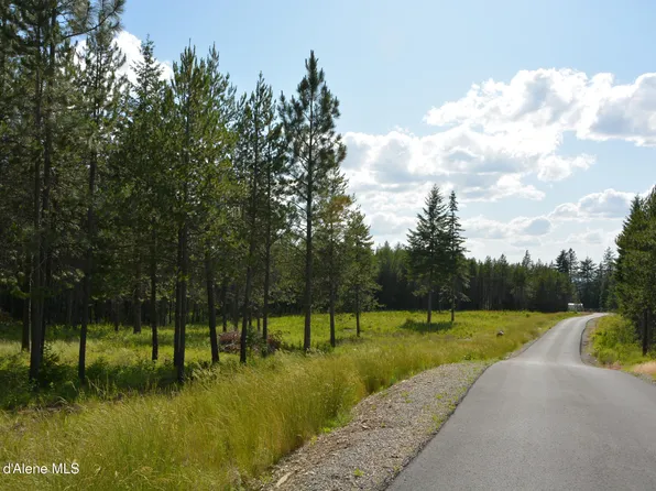 Nka N Sylvan Rd, Athol, ID 83801